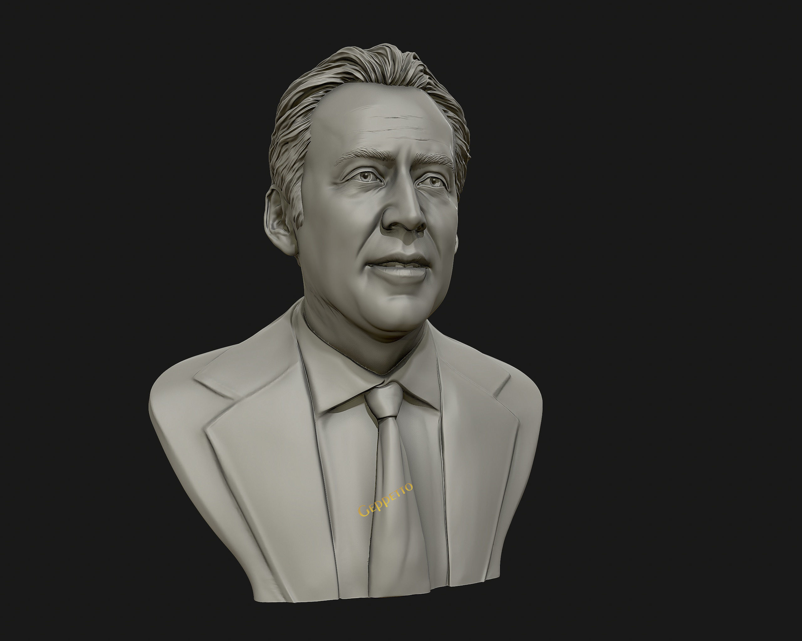 Nicolas Cage 3D printable portrait model 3D print model_7