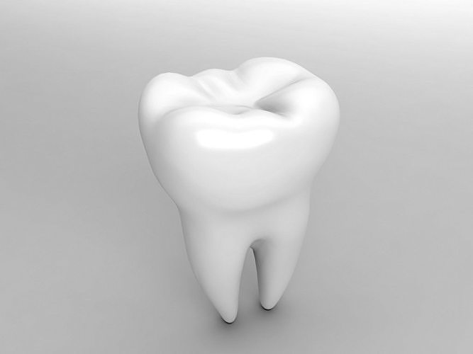 Molar Tooth 3D model