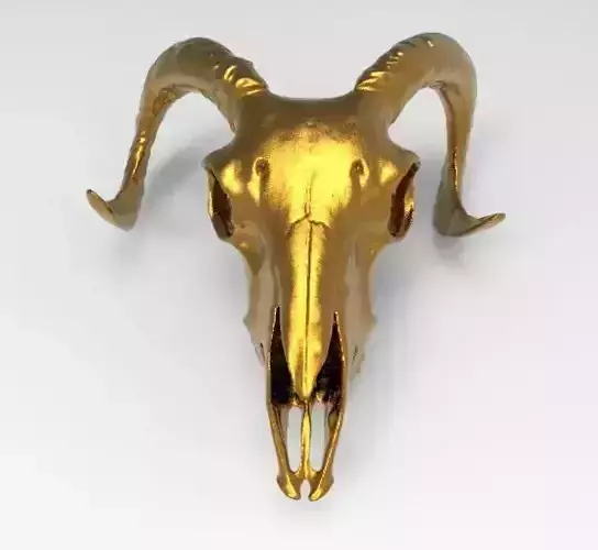 ram skull for 3D print