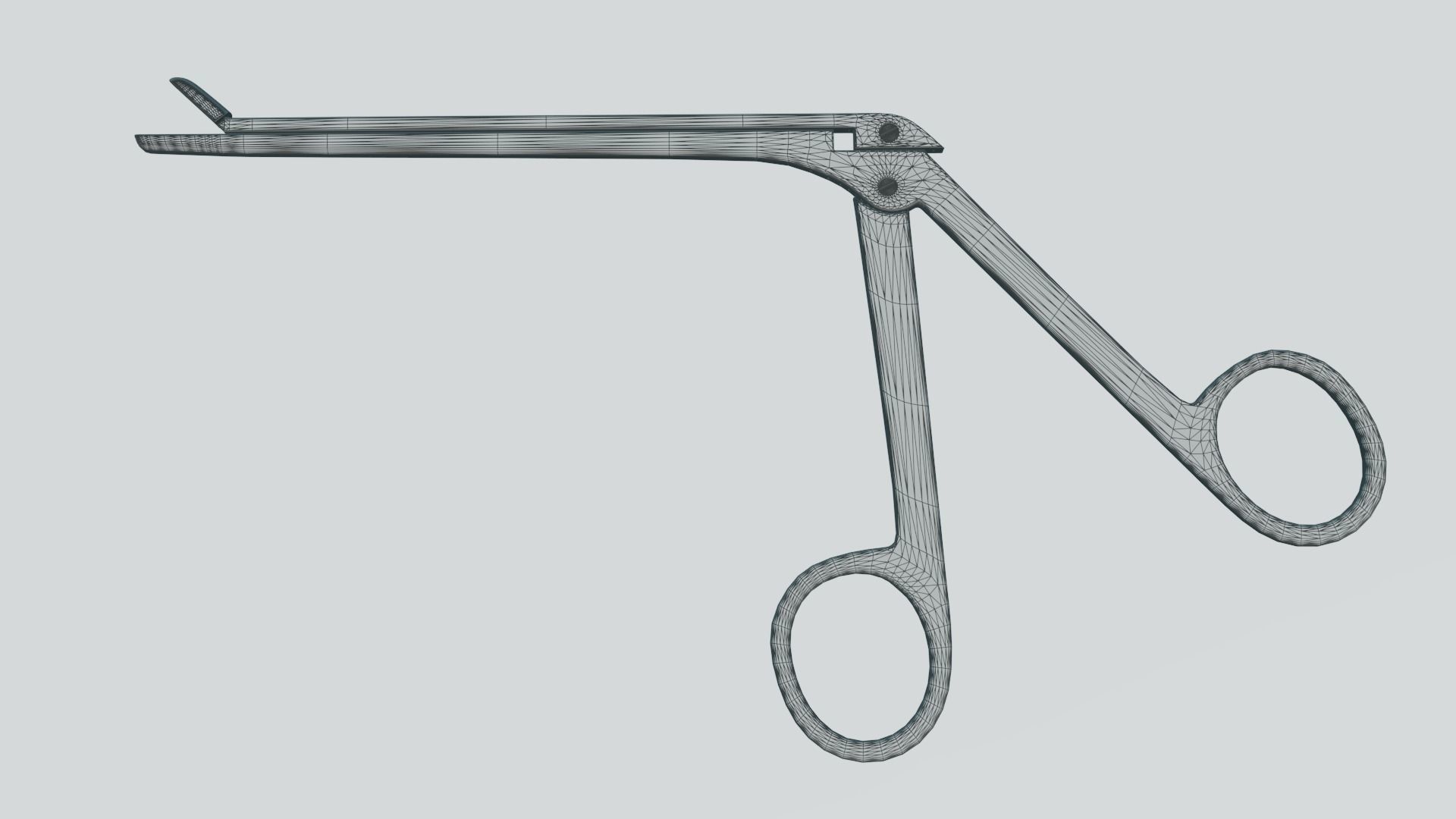 Pituitary rongeur 3D model_7