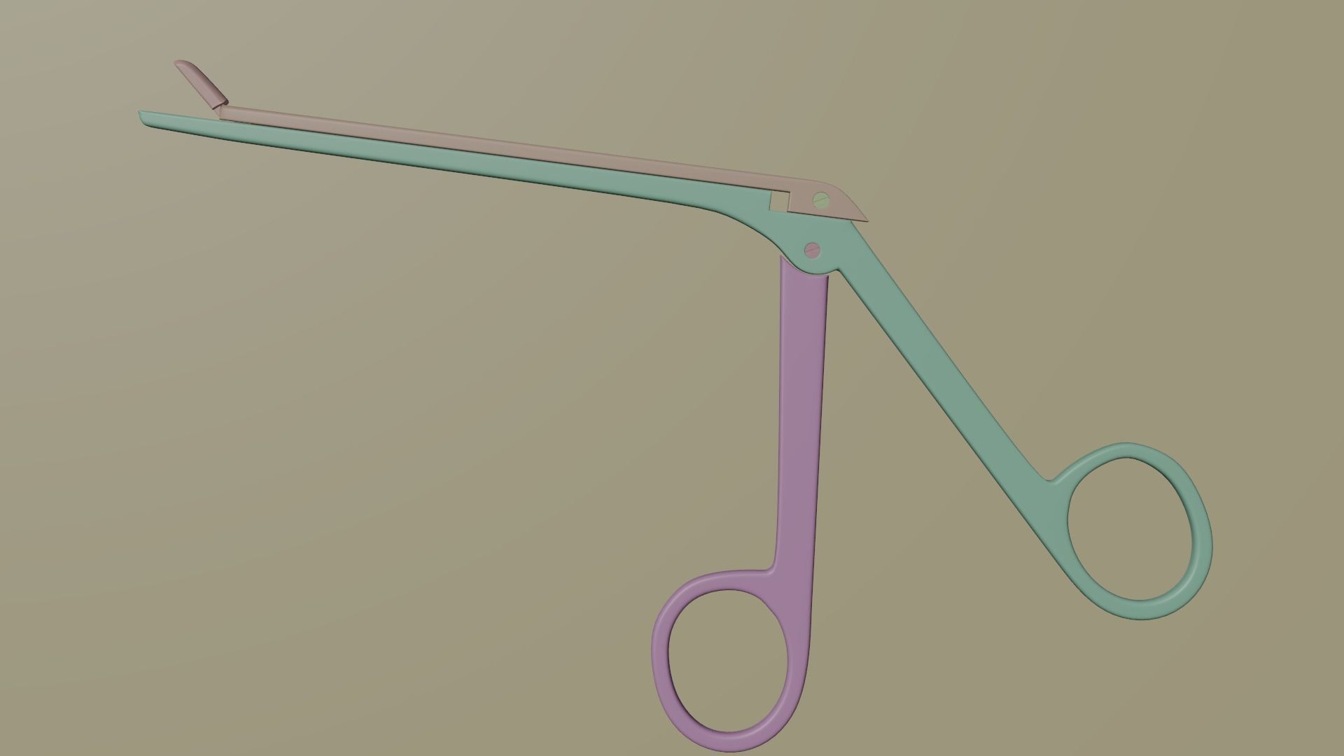 Pituitary rongeur 3D model_6