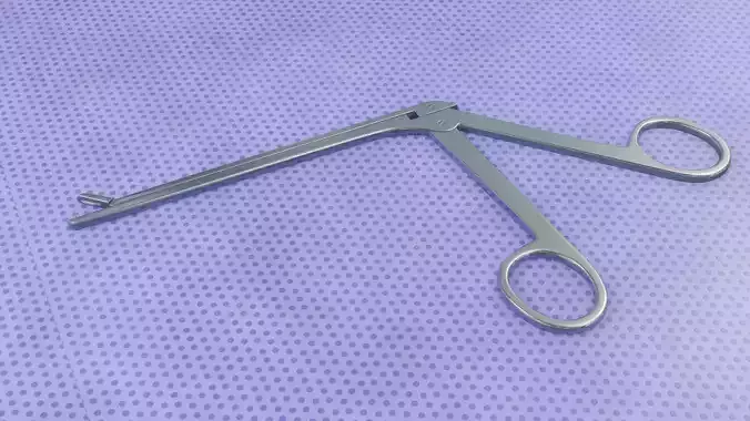 Pituitary rongeur 3D model