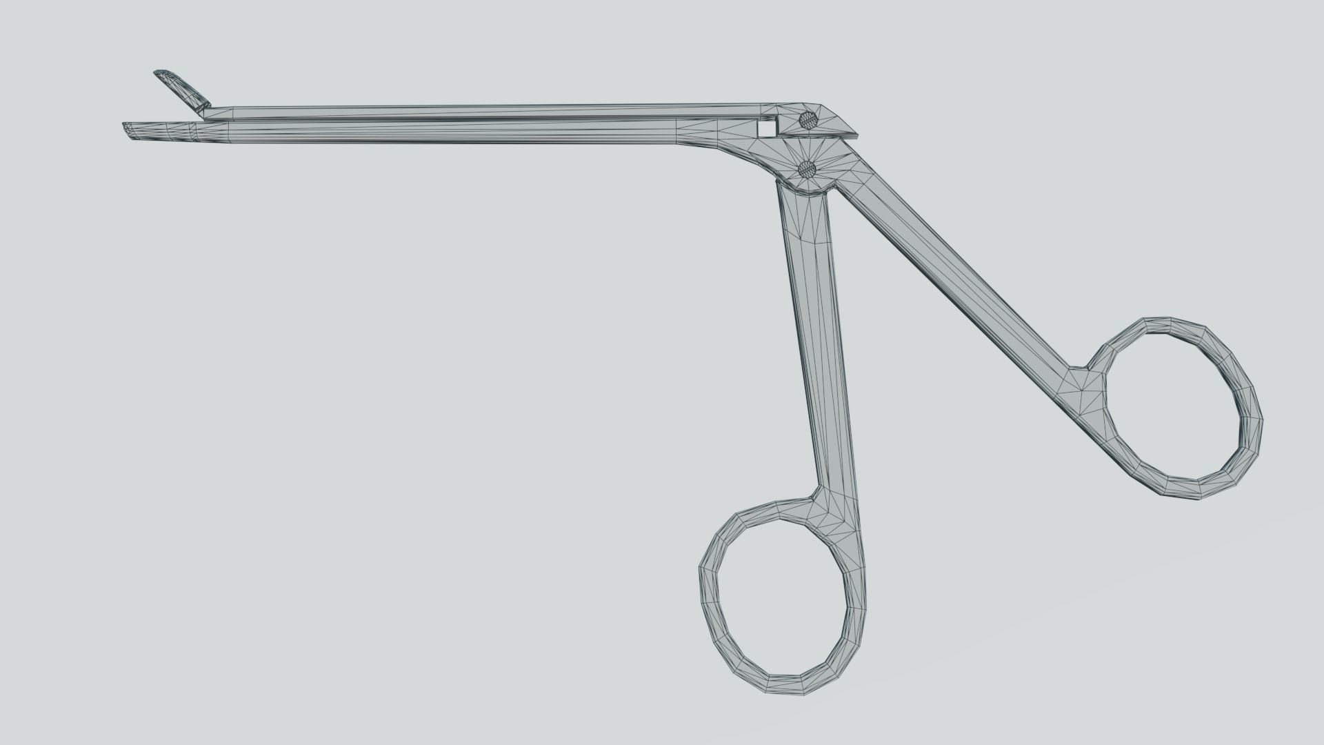 Pituitary rongeur 3D model_8