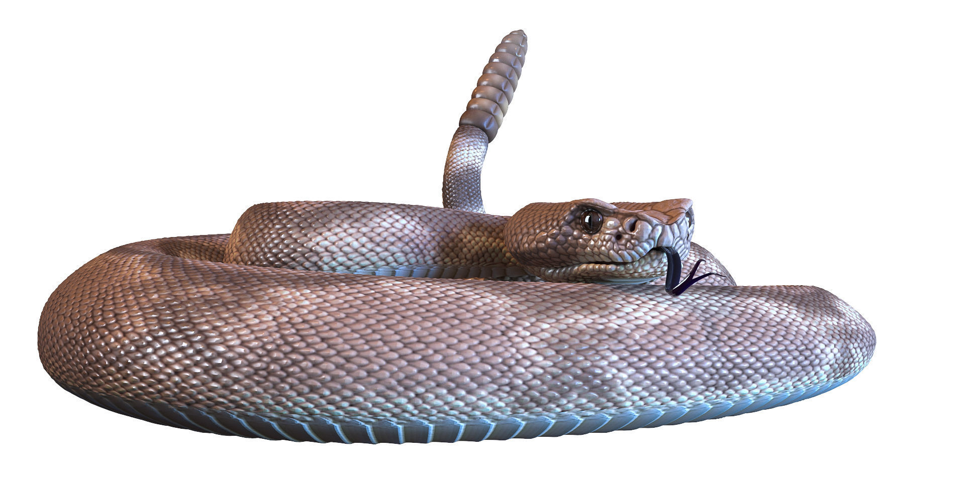 Terrarium Exo-Terra for the snake 3D model_8