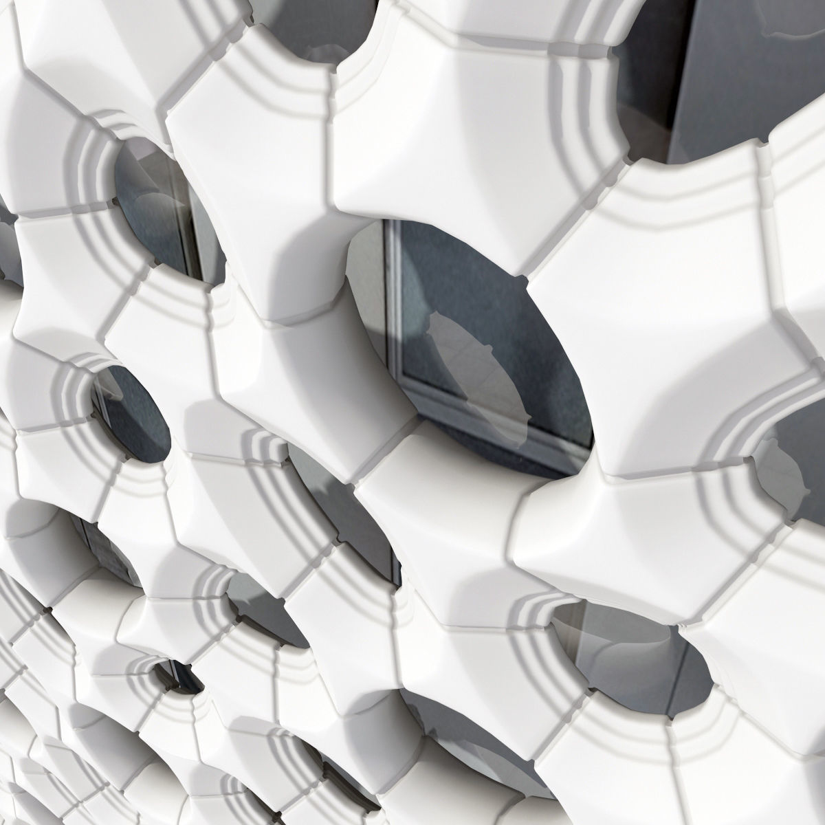 Bionics cage hole 3D model_4