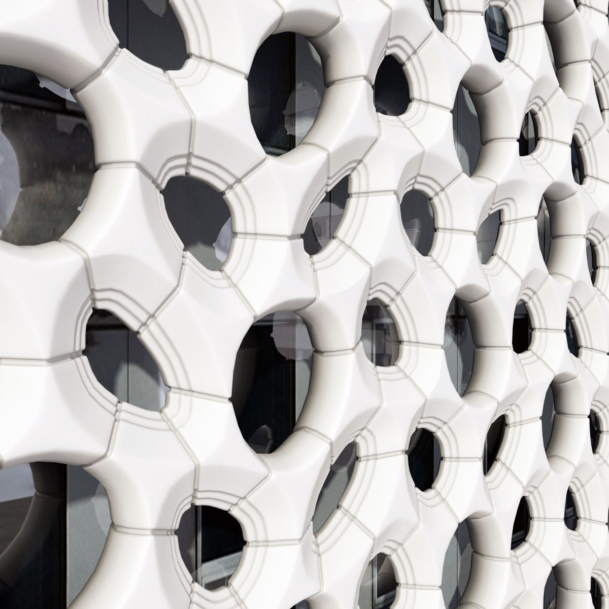 Bionics cage hole 3D model_2