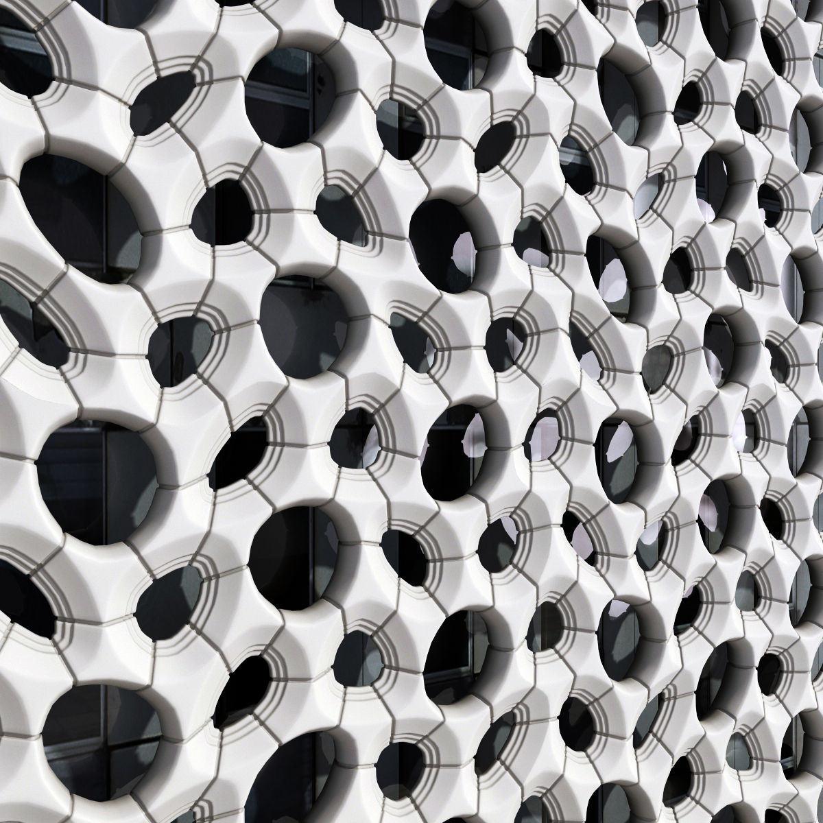 Bionics cage hole 3D model_3