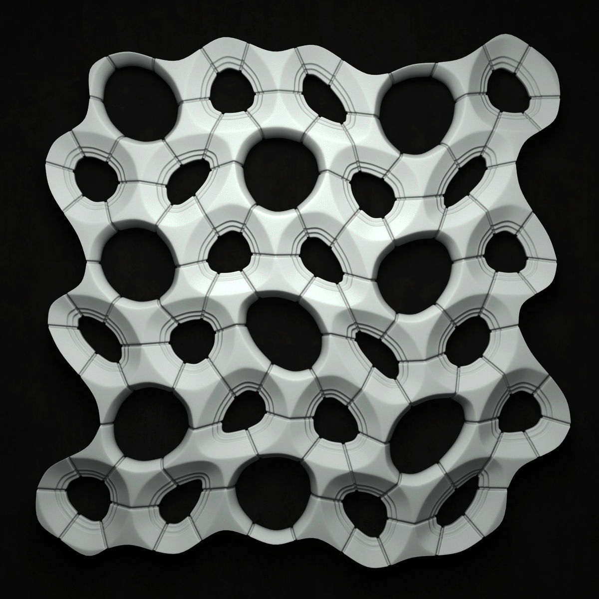 Bionics cage hole 3D model_1