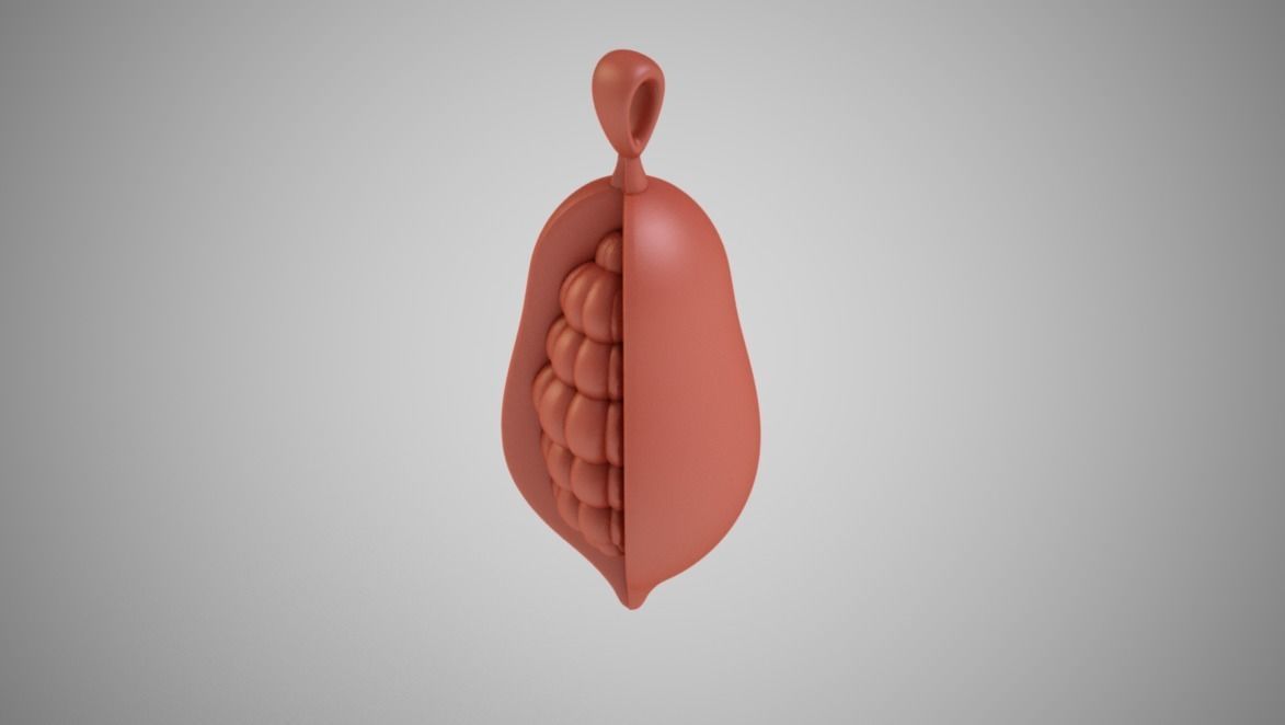 Cocoa Bean Necklace 3D print model_11