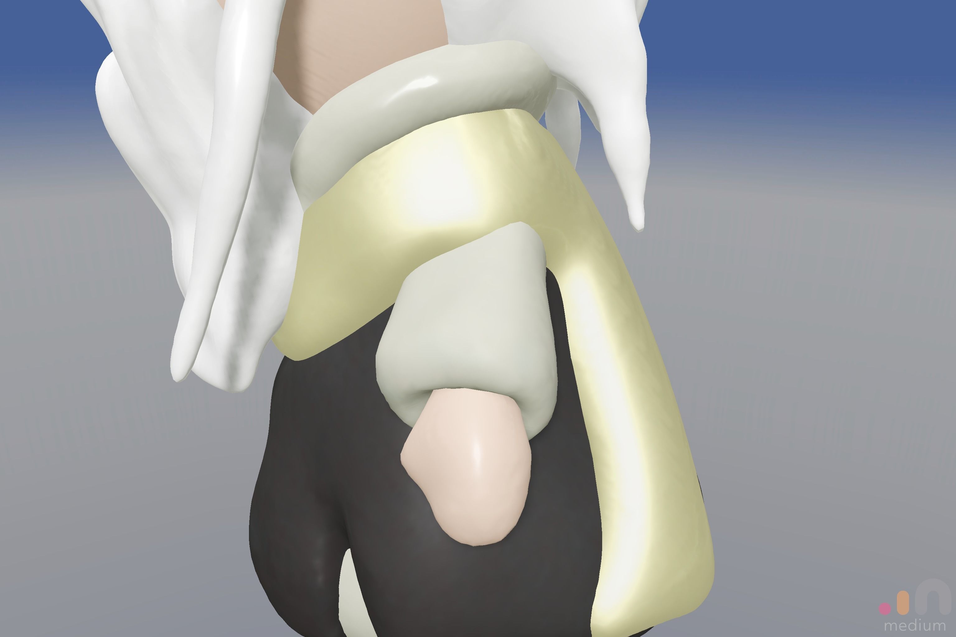 Pai Mei White Brow from Kill Bill movie 3D model_17