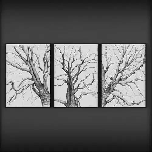 Picture Frames Low-poly 3D model