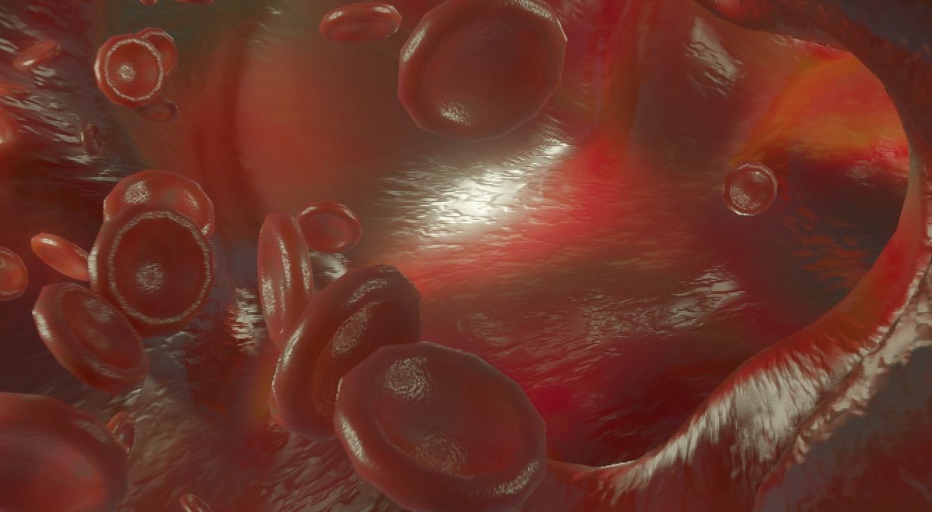 Blood Vessel animated red blood cells 3D model_2