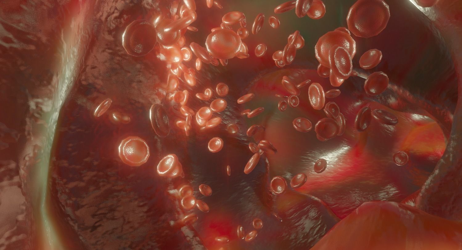 Blood Vessel animated red blood cells 3D model_1