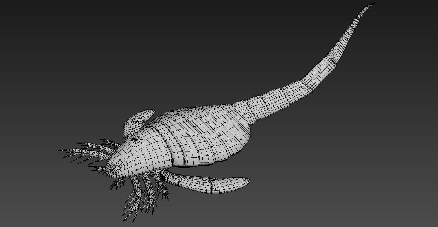 Carcinosoma scorpion 3D model_3