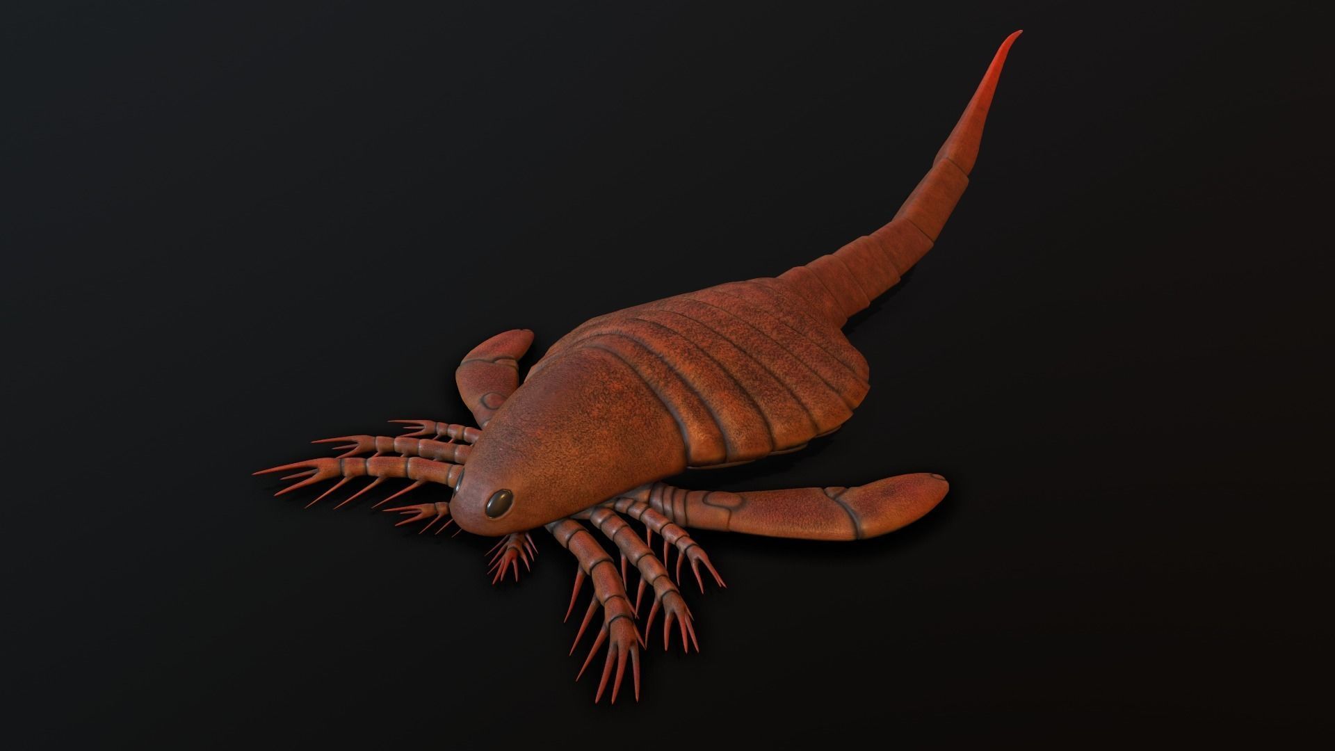 Carcinosoma scorpion 3D model_2