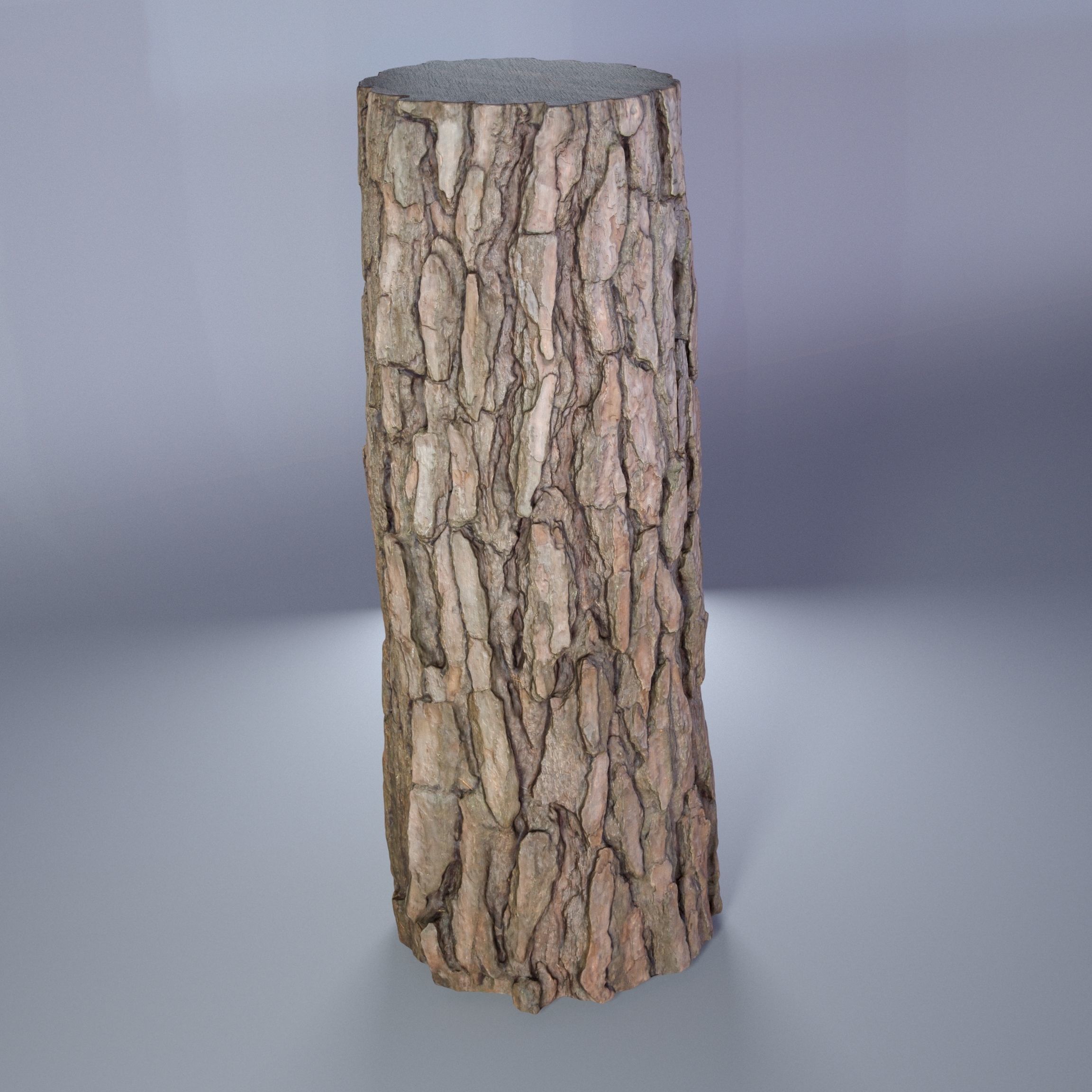 Tree log 04 3D model_3
