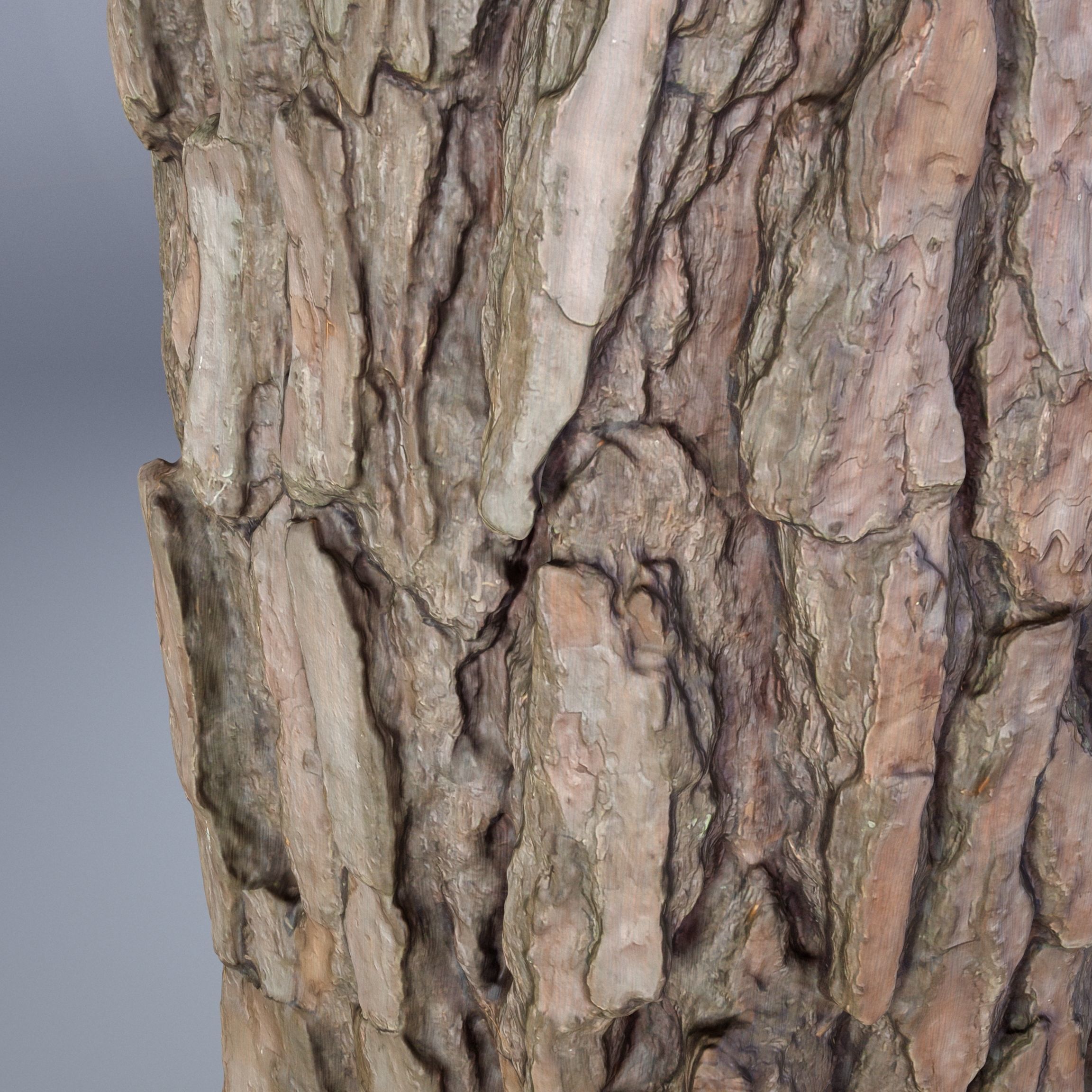 Tree log 04 3D model_5