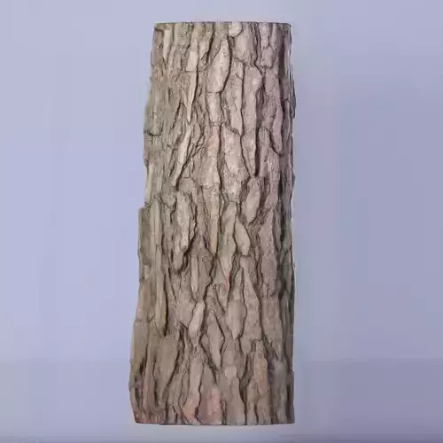 Tree log 04 3D model