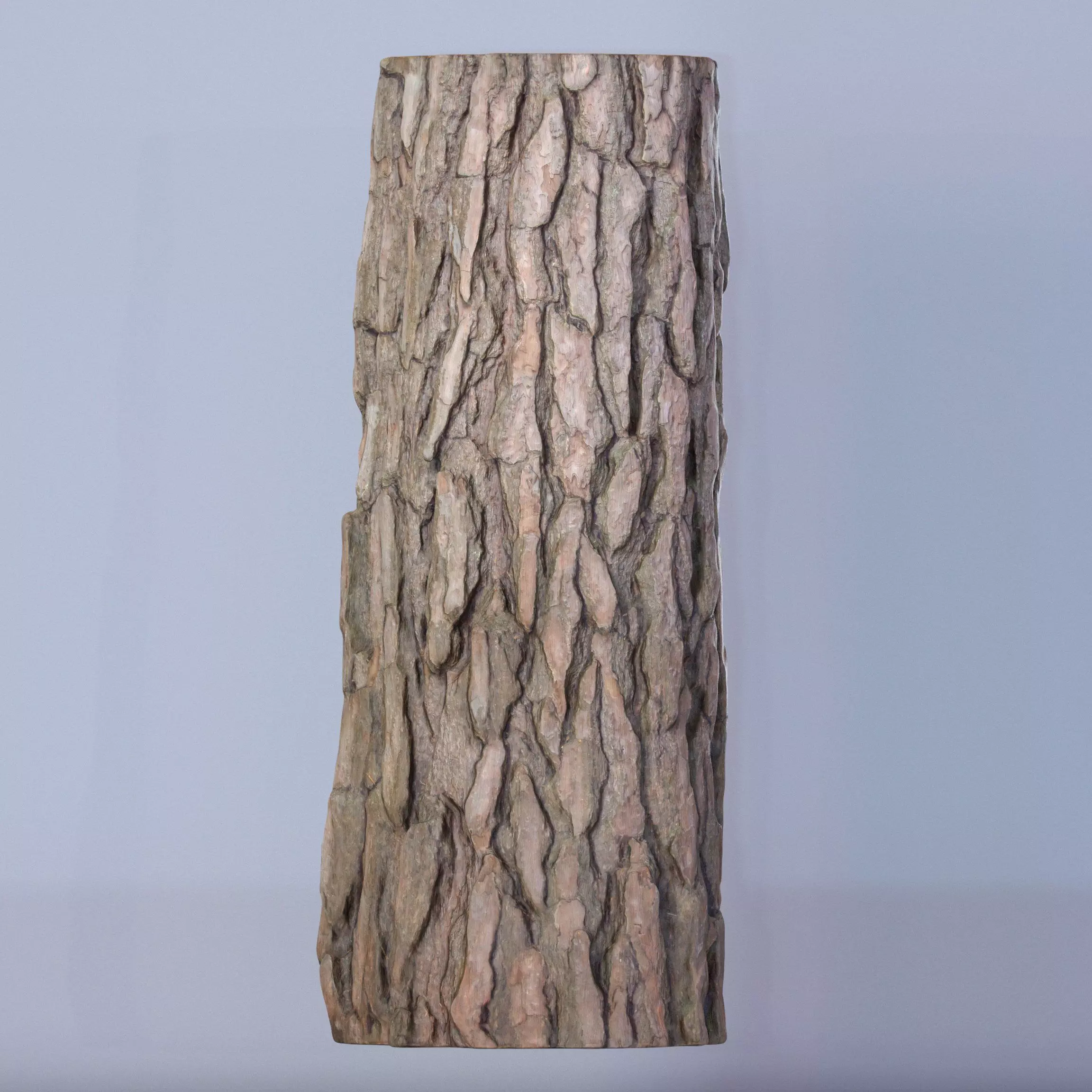 Tree log 04 3D model_0