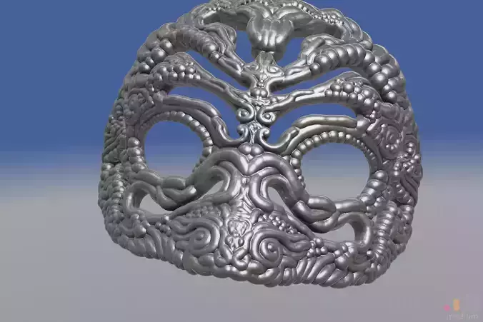 Intricate See Through   Venetian Mask