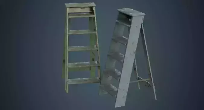  Step Ladder 3B