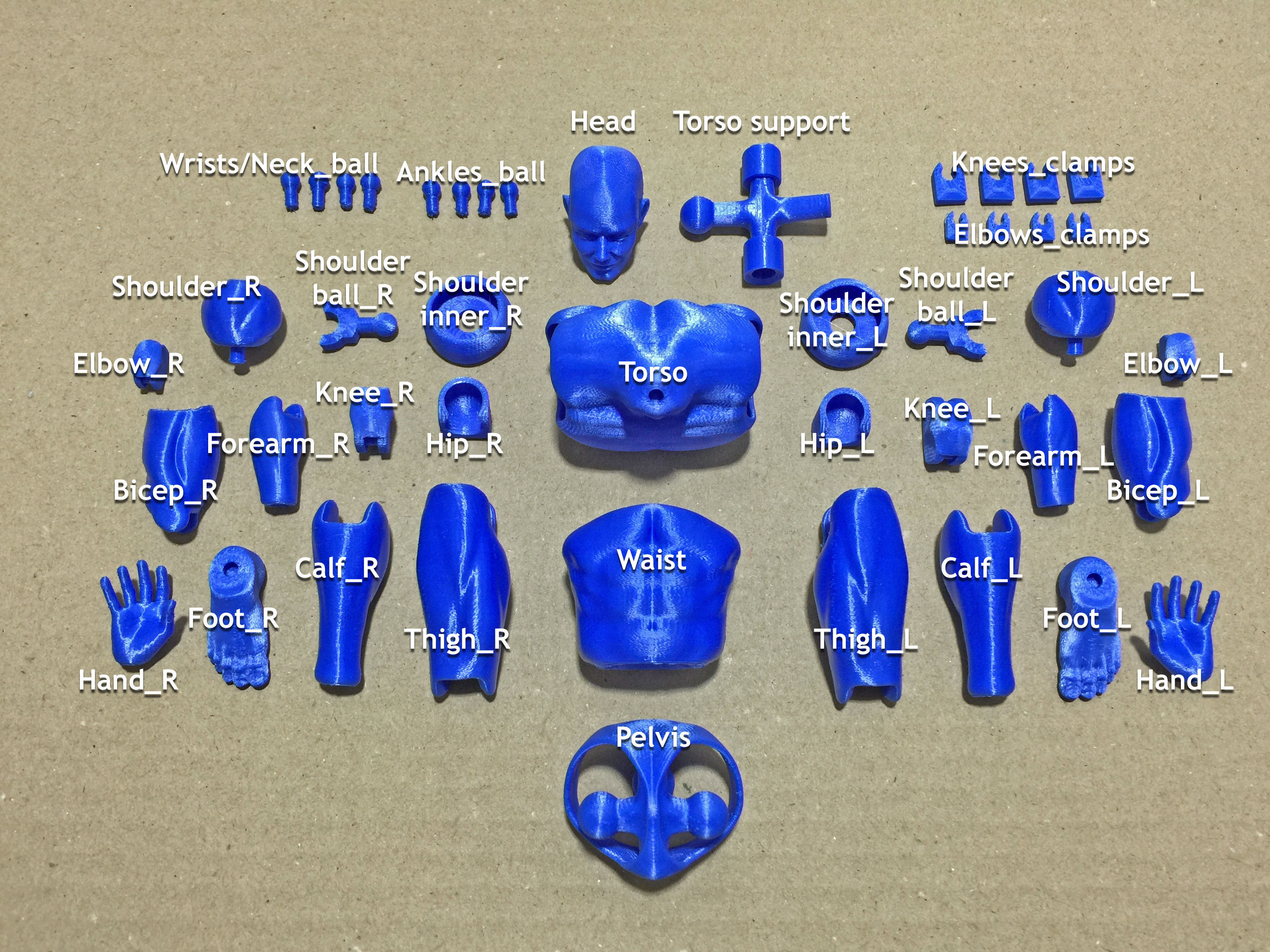 Articulated Poseable Male Figure 3D print model_12