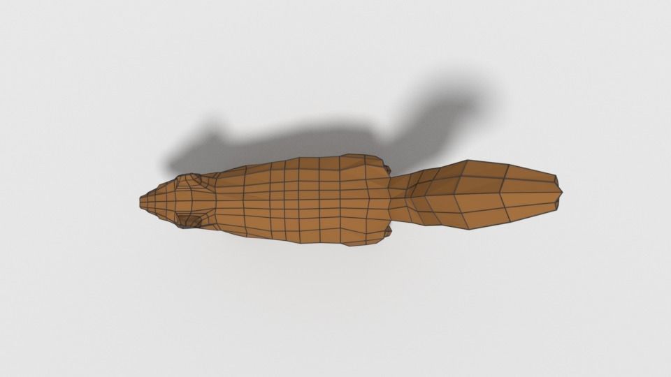 Low Poly Cartoon Squirrel Low-poly 3D model_15