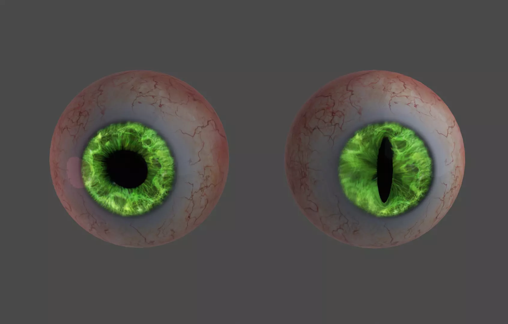Eyes of man and cat 3D model_0