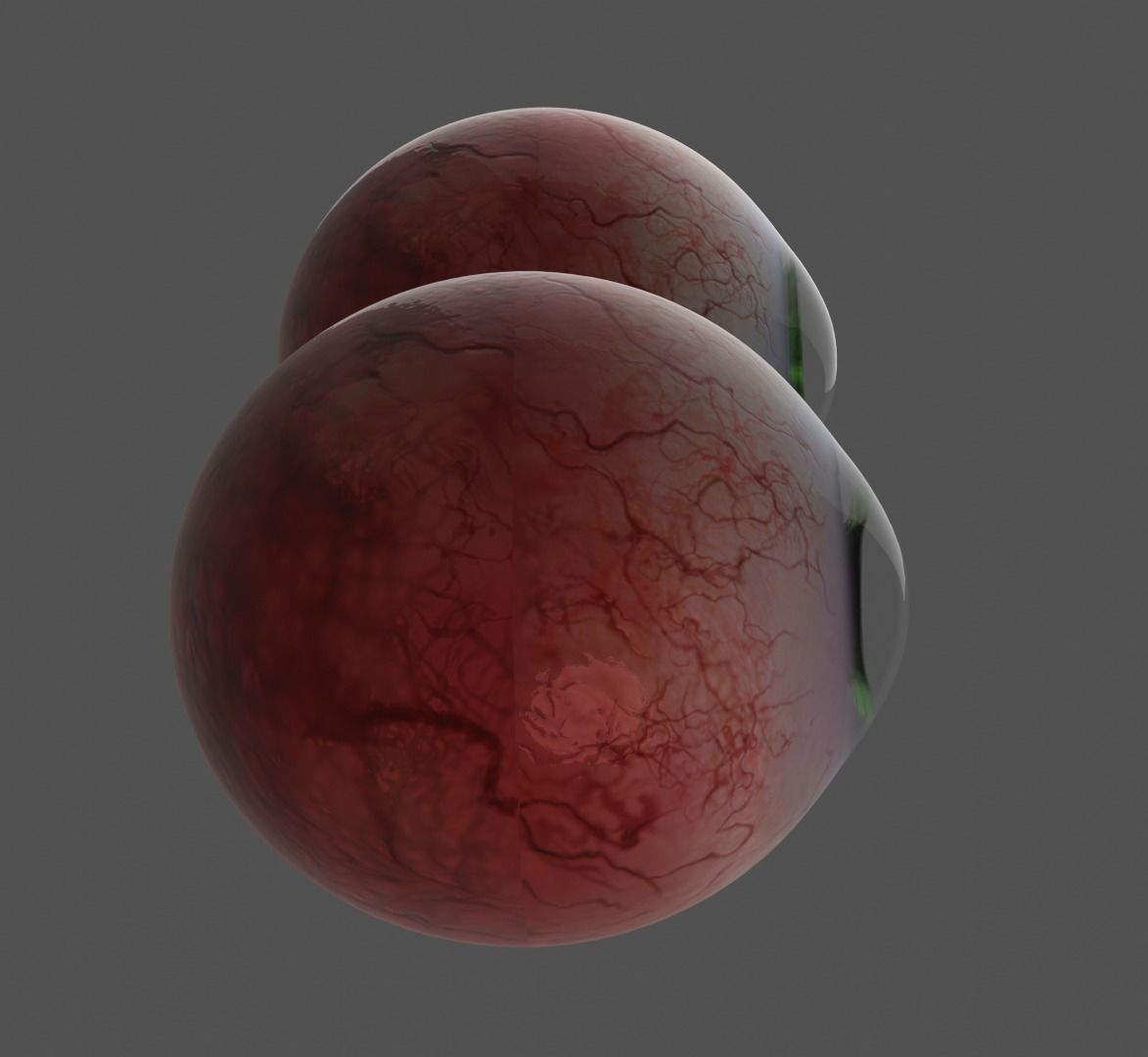 Eyes of man and cat 3D model_3