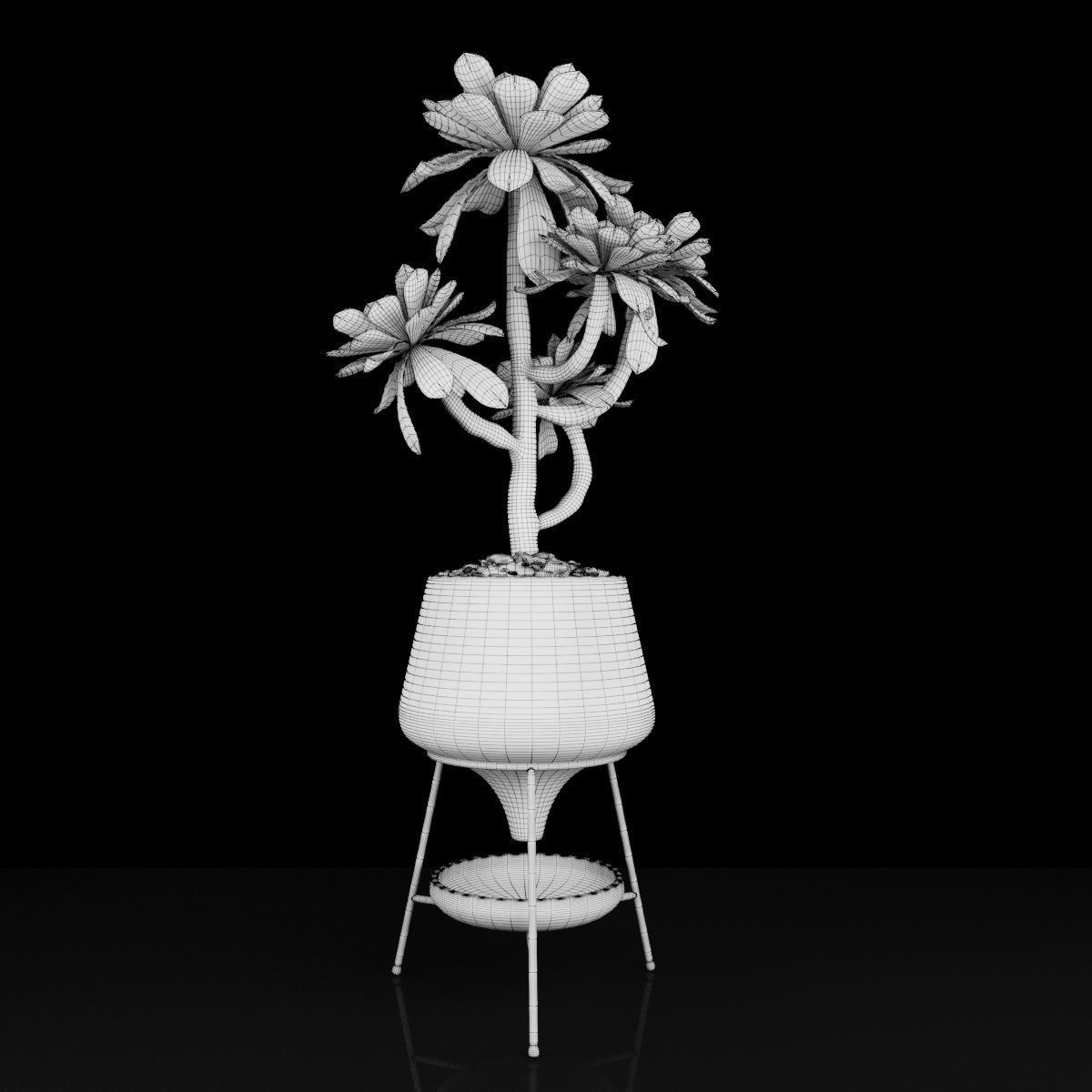Plant 18 3D model_5
