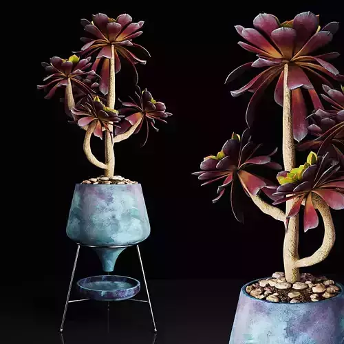 Plant 18 3D model
