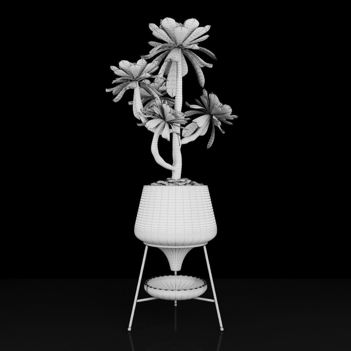Plant 18 3D model_4