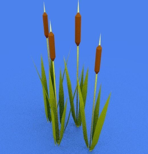 Reed cartoon low-poly mesh Free low-poly 3D model_1