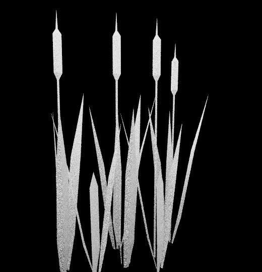 Reed cartoon low-poly mesh Free low-poly 3D model_3