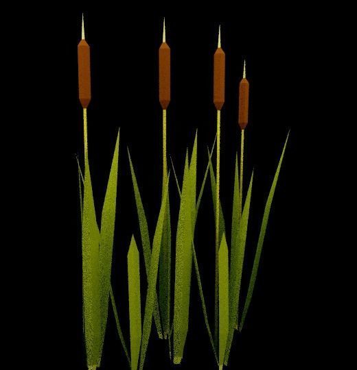 Reed cartoon low-poly mesh Free low-poly 3D model_4