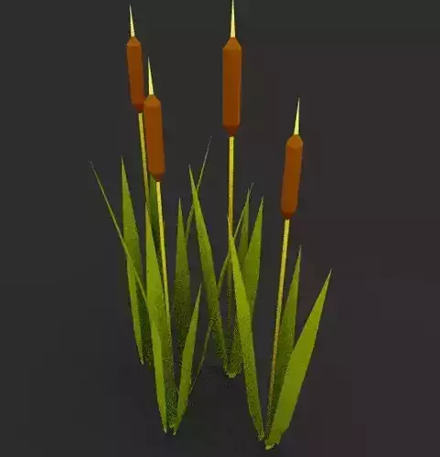 Reed cartoon low-poly mesh