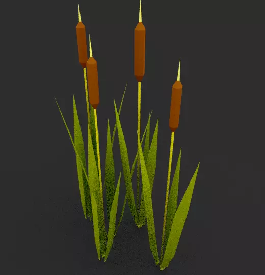 Reed cartoon low-poly mesh Free low-poly 3D model_0