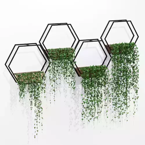 Kaeden three hexagonal planters hanging on wall