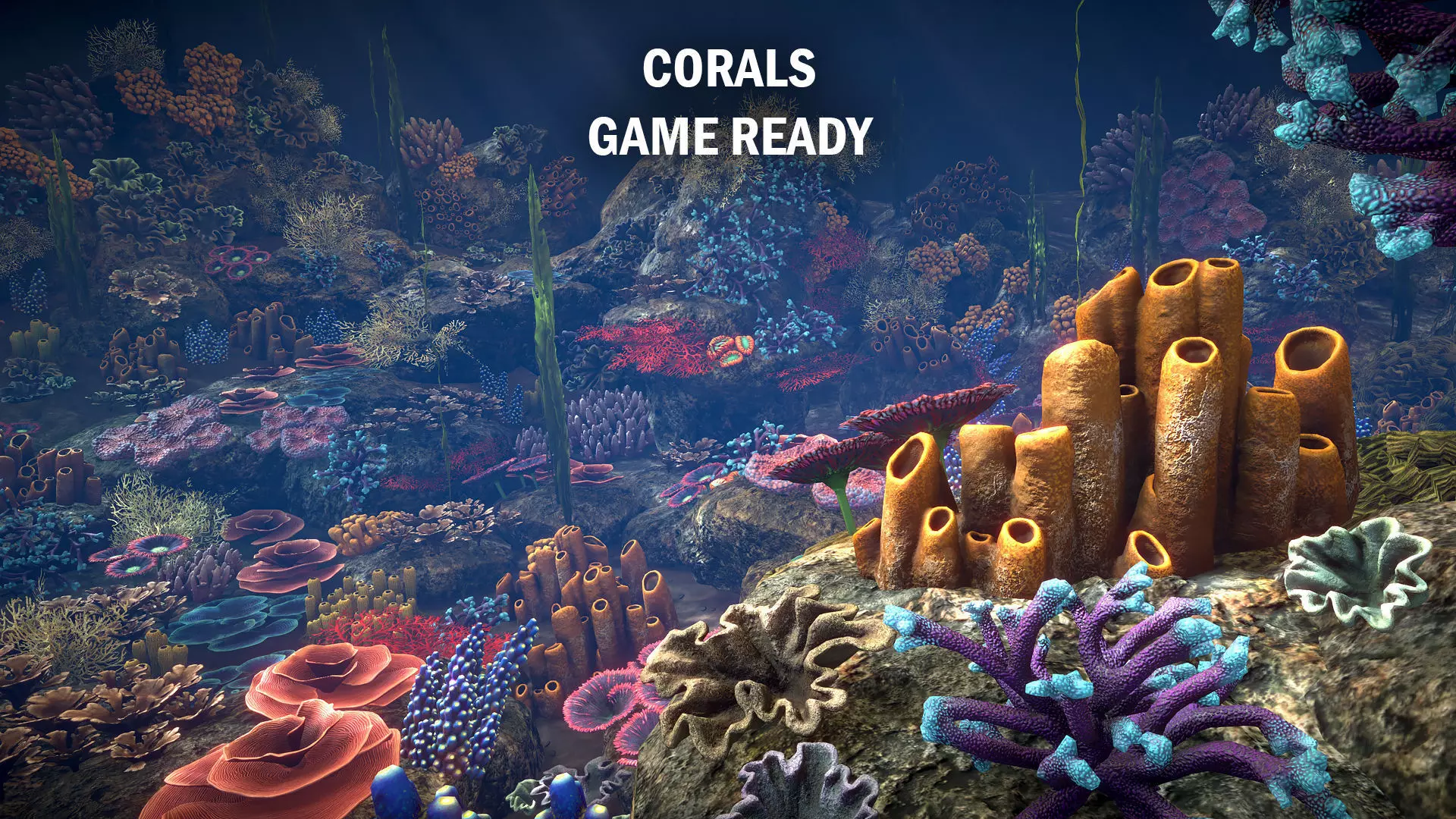 Corals game ready Low-poly 3D model_0