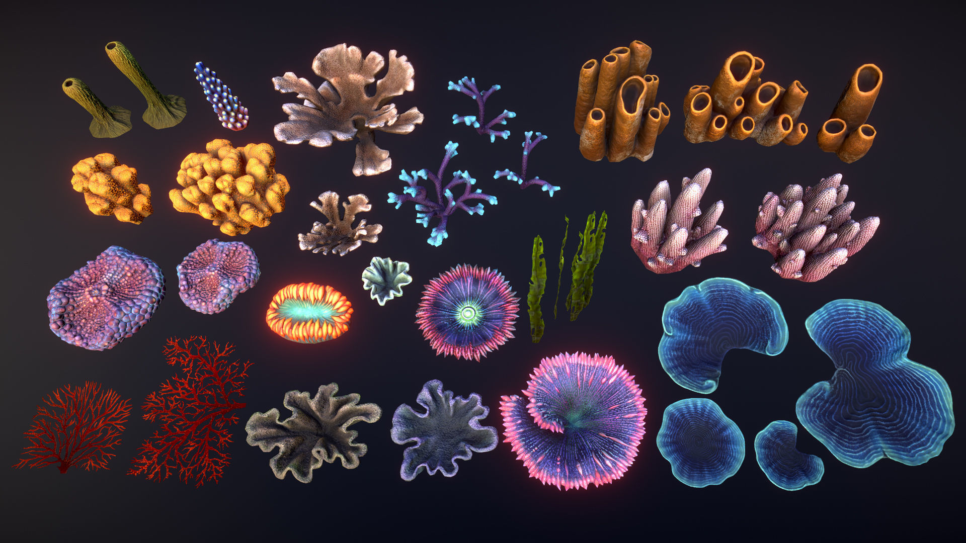 Corals game ready Low-poly 3D model_8