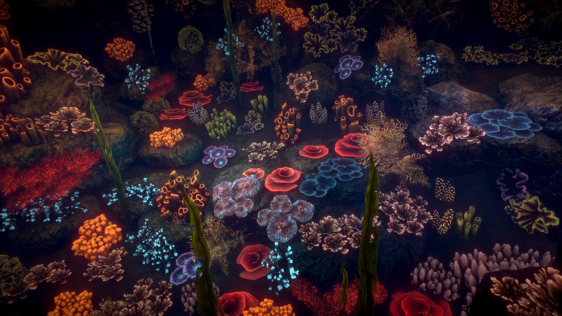 Corals game ready Low-poly 3D model_6