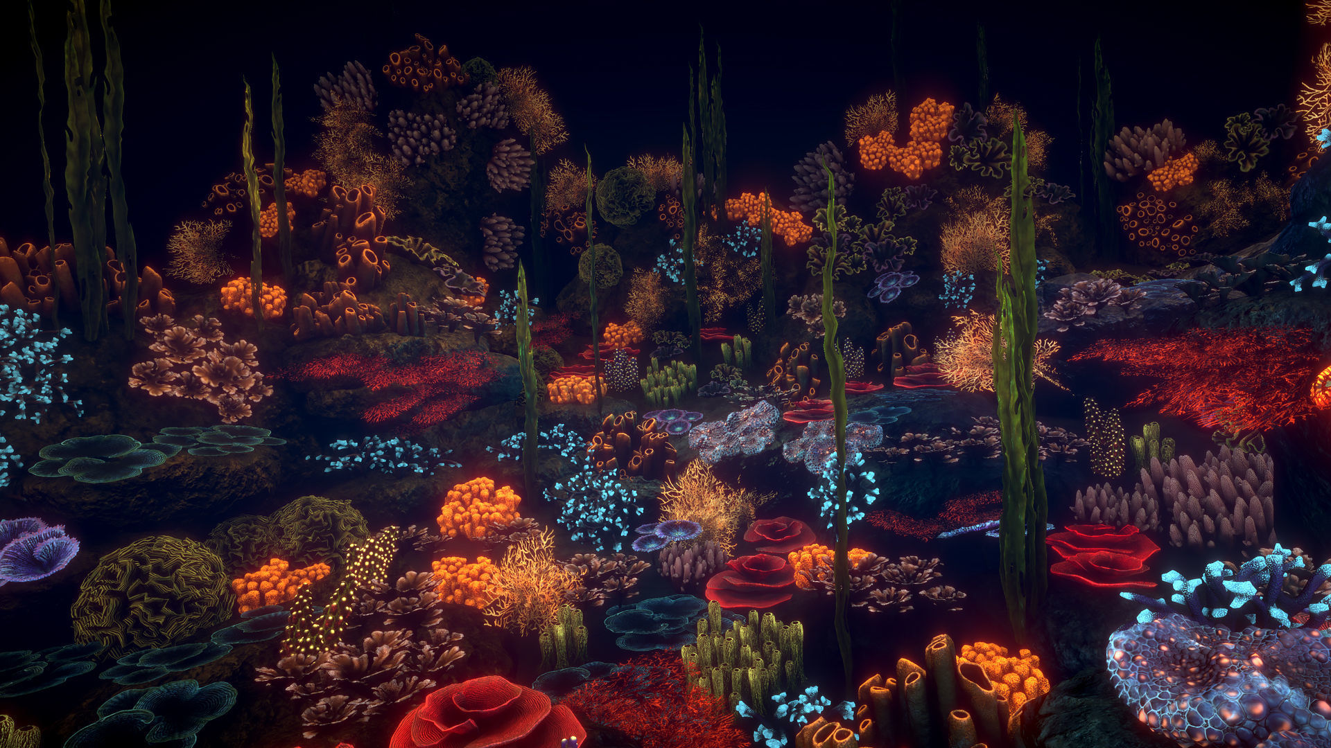 Corals game ready Low-poly 3D model_4