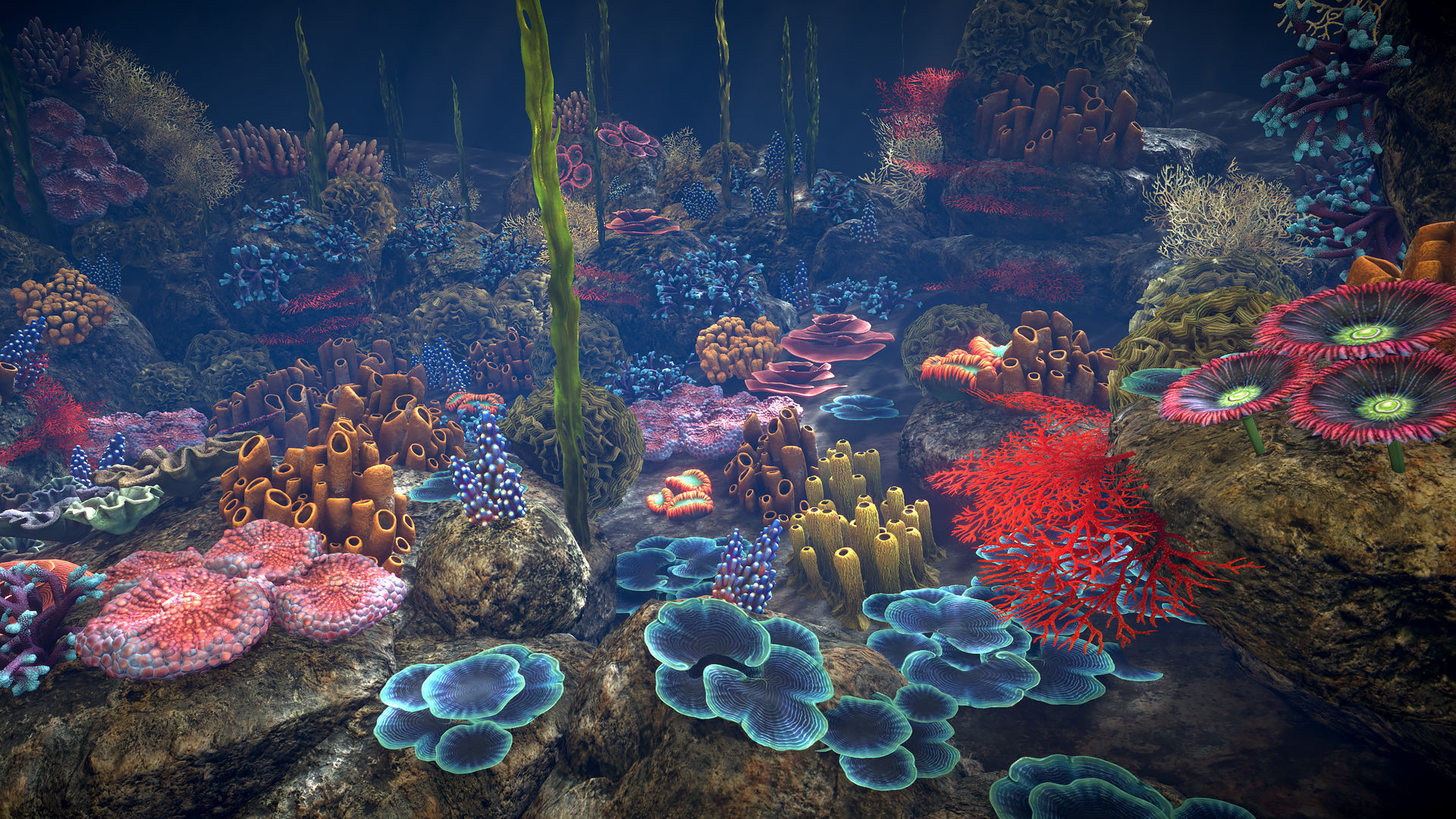 Corals game ready Low-poly 3D model_2