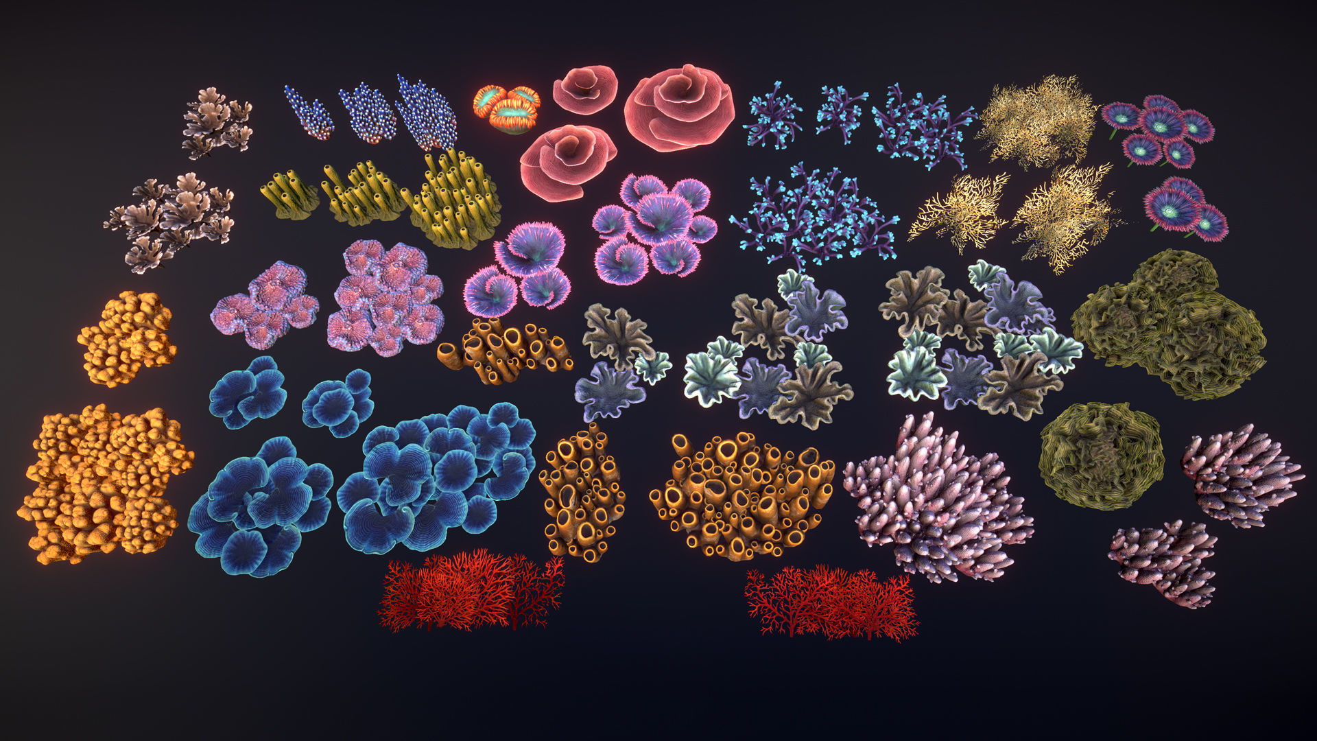 Corals game ready Low-poly 3D model_7