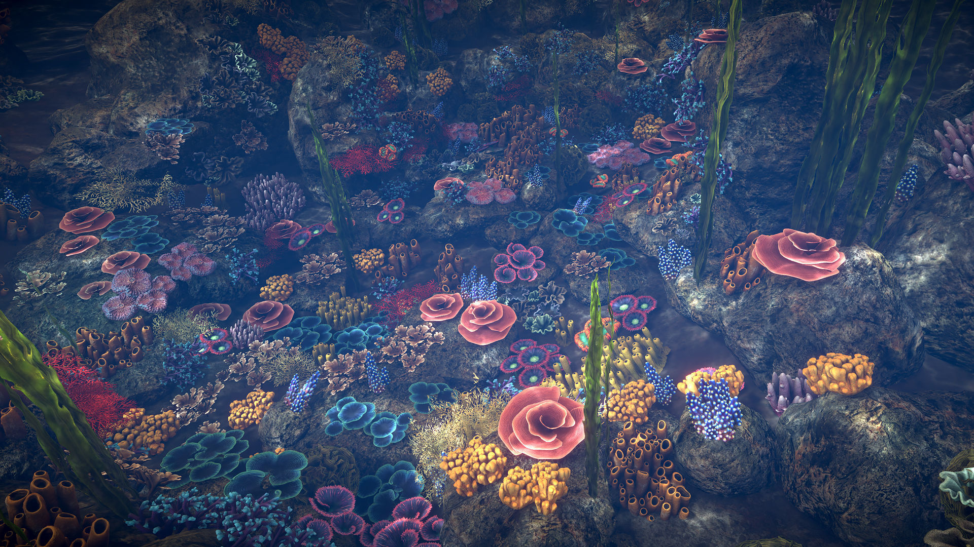 Corals game ready Low-poly 3D model_3