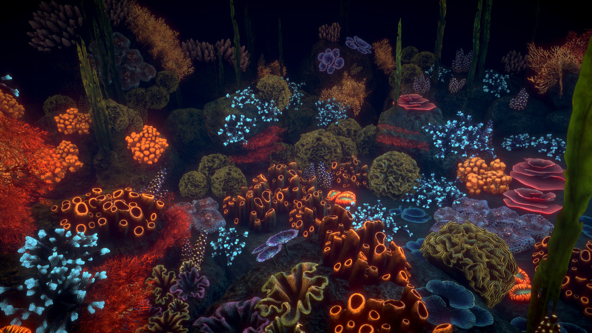 Corals game ready Low-poly 3D model_5