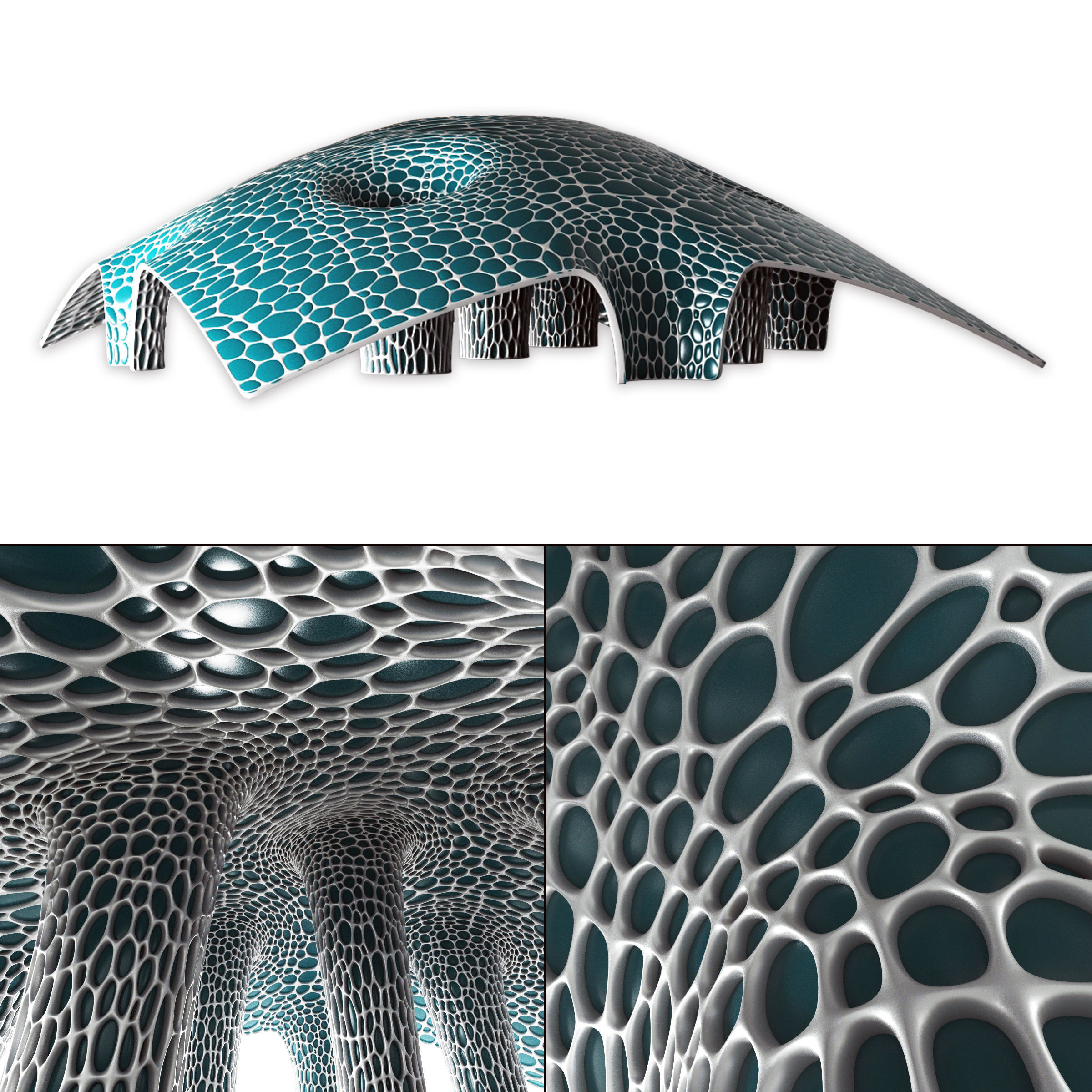 Biomica cell oval cage 3D model_1