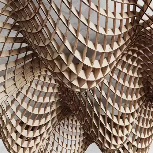 Parametric cage ceiling