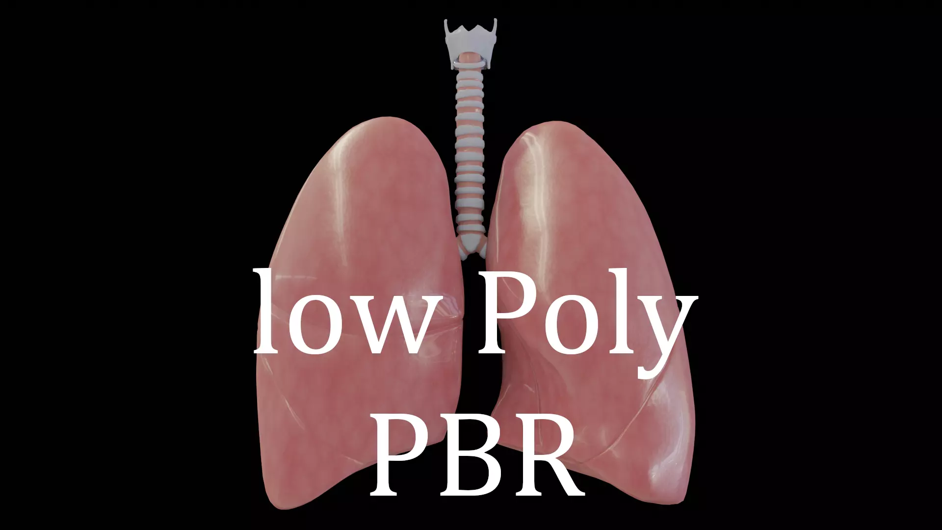 Human Lungs Low-poly 3D model_0
