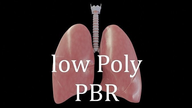 Human Lungs Low-poly 3D model